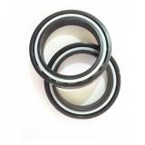 fast delivery bearing in stock 153500150 101FFTMTX1K3G6 .4724 B 1.1024