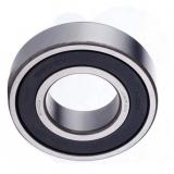 Full Zirconia Ceramic Ball Bearing 6007 with Top Quality